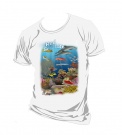 Loligo shirt - Red Sea